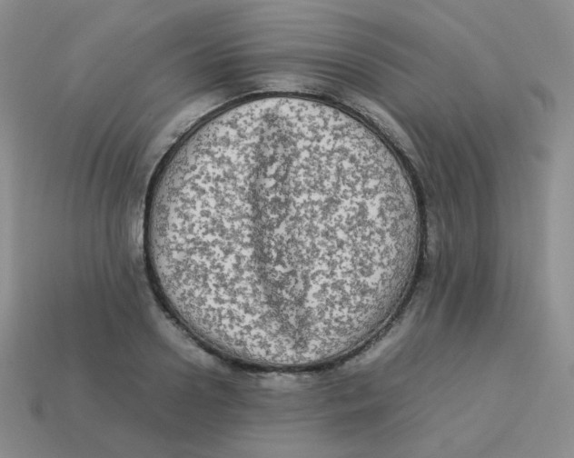 X0000113290938200910131023