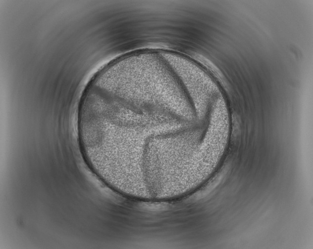 X0000113290939200910131023