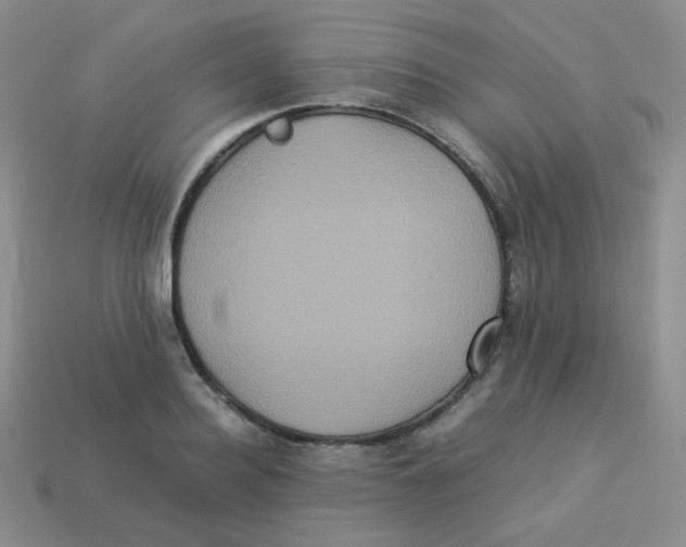 X0000113290940200910131023