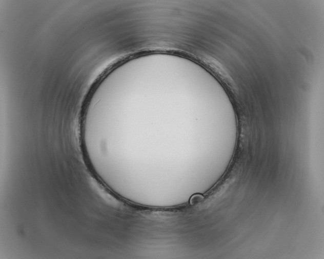 X0000113290942200910131023