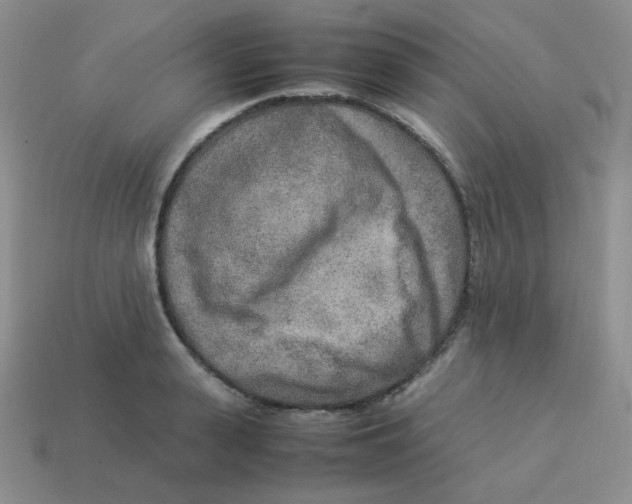 X0000113290943200910131023
