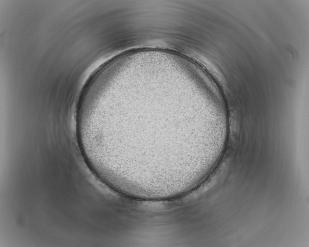 X0000113290944200910131023