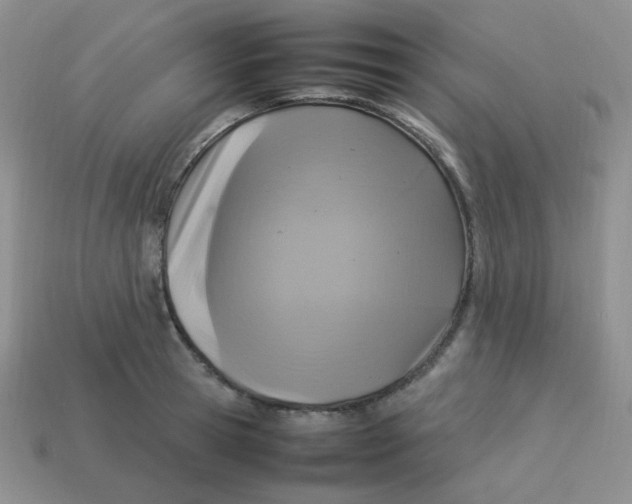 X0000113290945200910131023