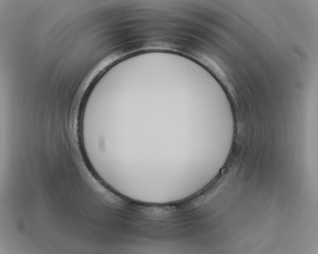 X0000113290947200910131023