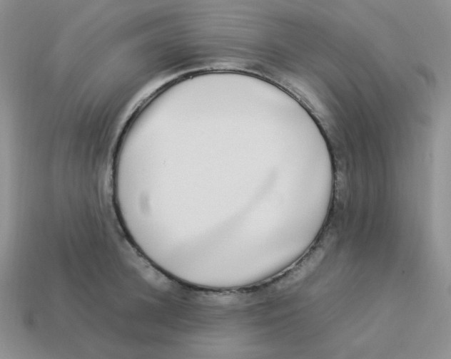 X0000113290948200910131023