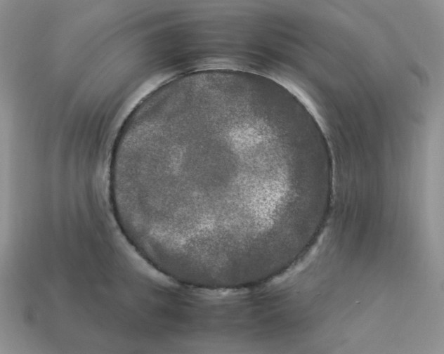 X0000113290949200910131023