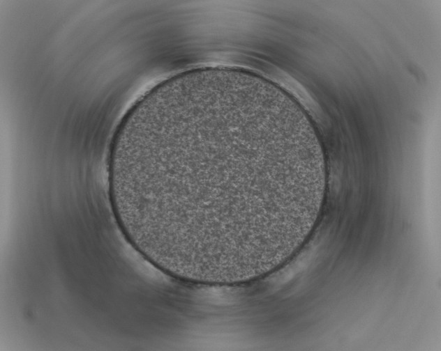 X0000113290950200910131023