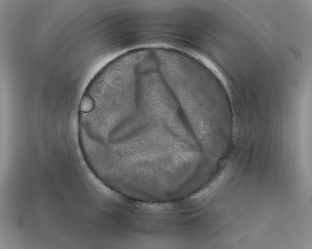 X0000113290951200910131023