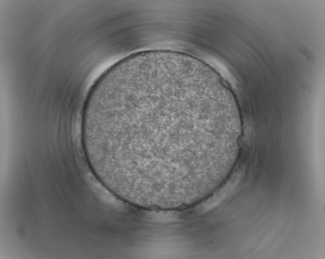 X0000113290952200910131023
