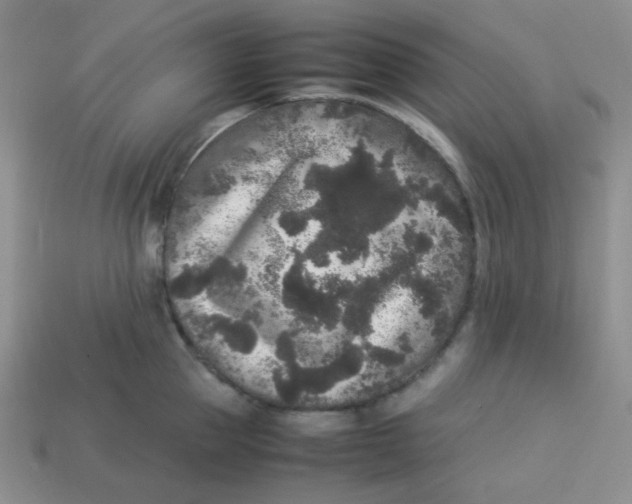 X0000113290953200910131023