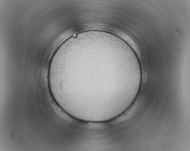 X0000113290954200910131023