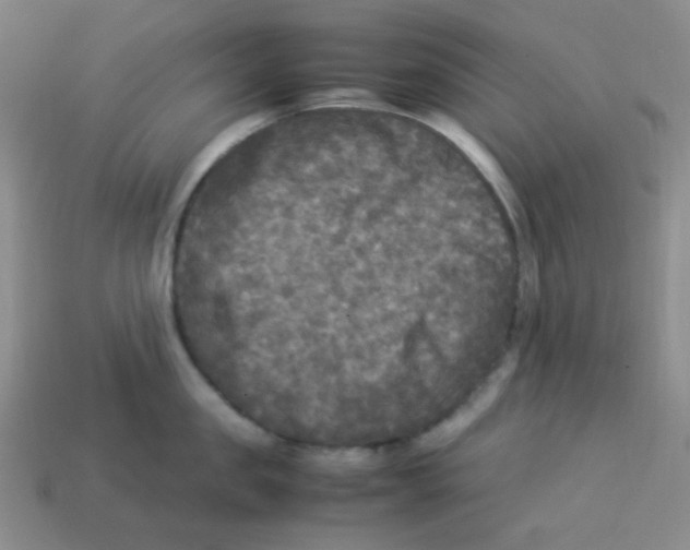 X0000113290957200910131023