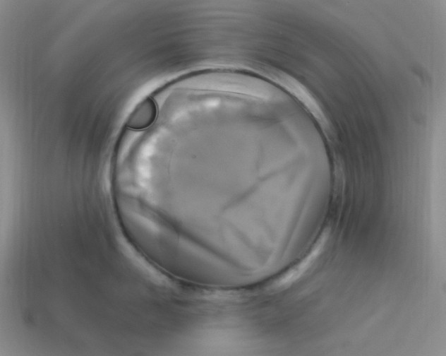 X0000113290958200910131023