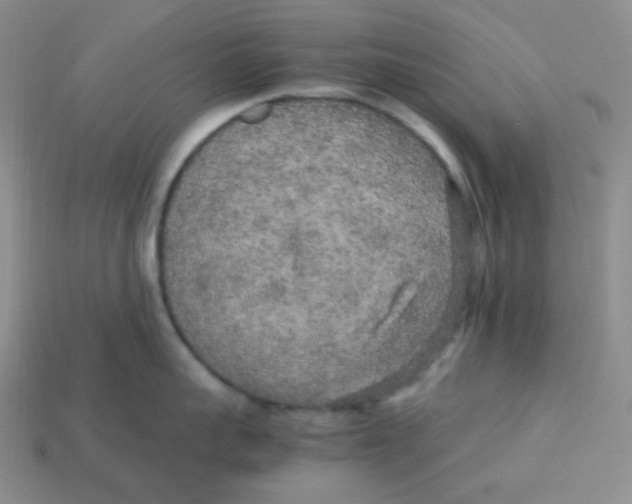 X0000113290959200910131023