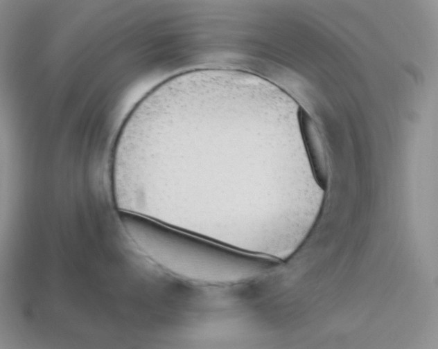 X0000113290960200910131023