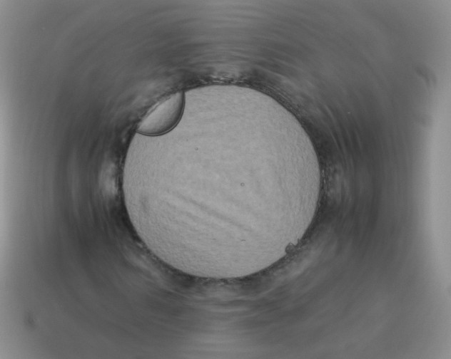 X0000113290962200910131023