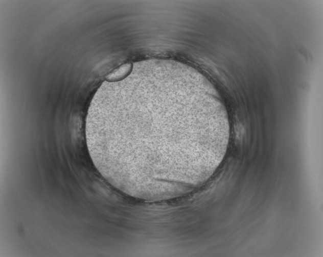 X0000113290964200910131023