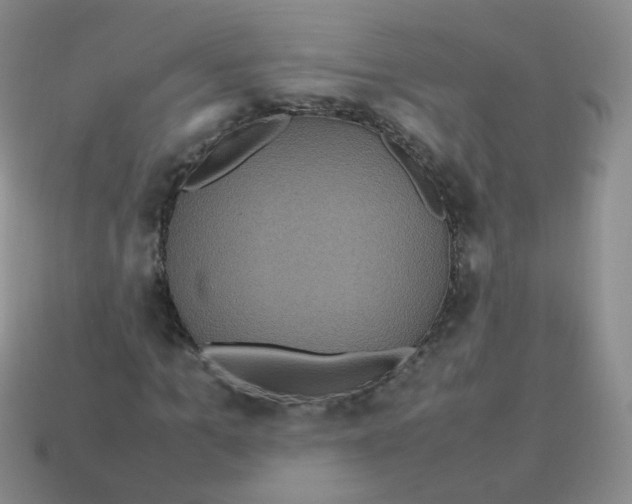 X0000113290965200910131023
