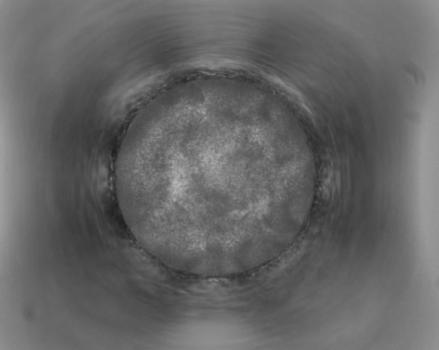 X0000113290966200910131023