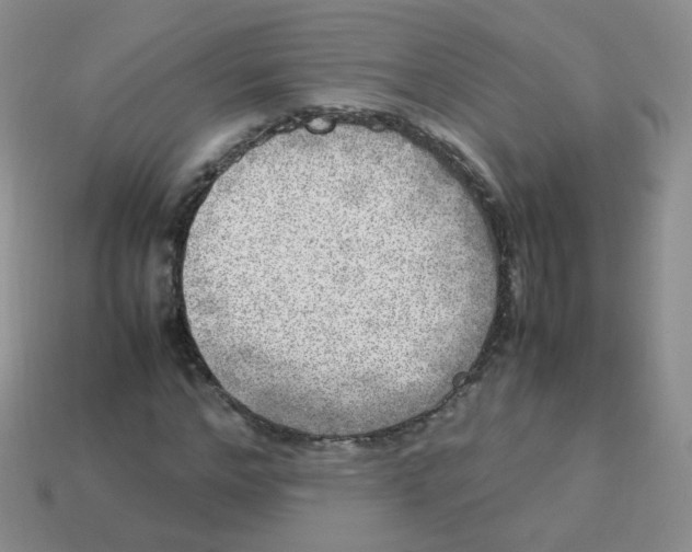 X0000113290968200910131023