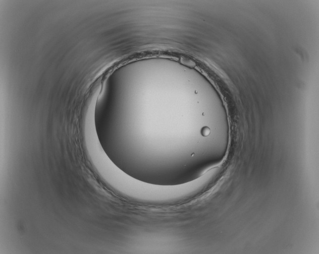 X0000113290969200910131023