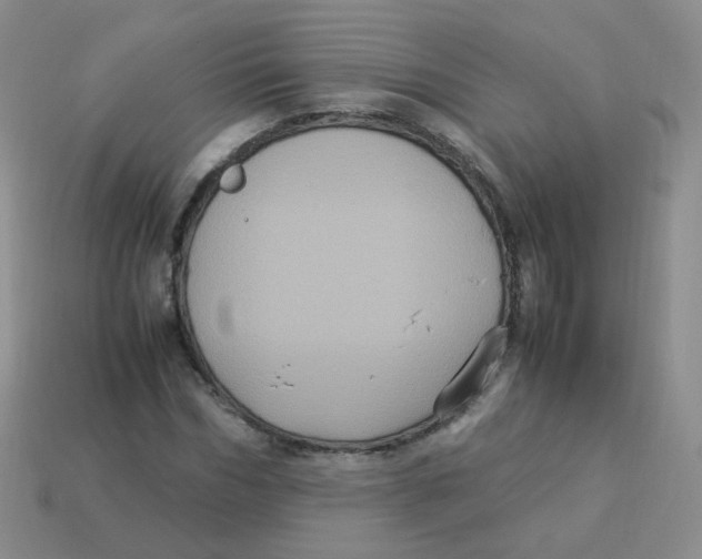X0000113290970200910131023