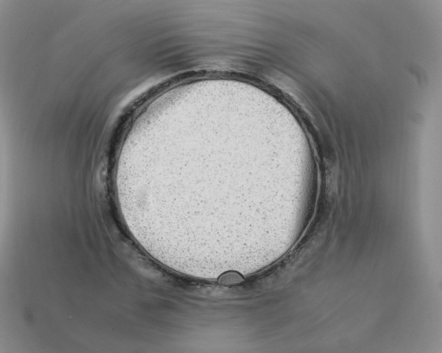 X0000113290971200910131023