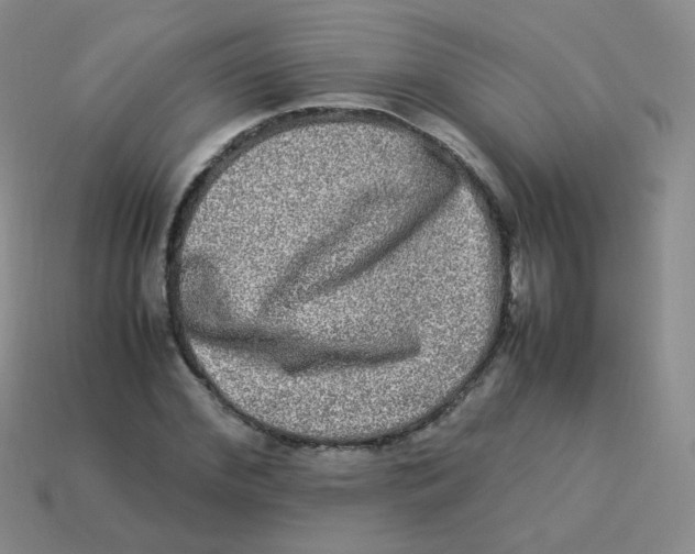 X0000113290972200910131023