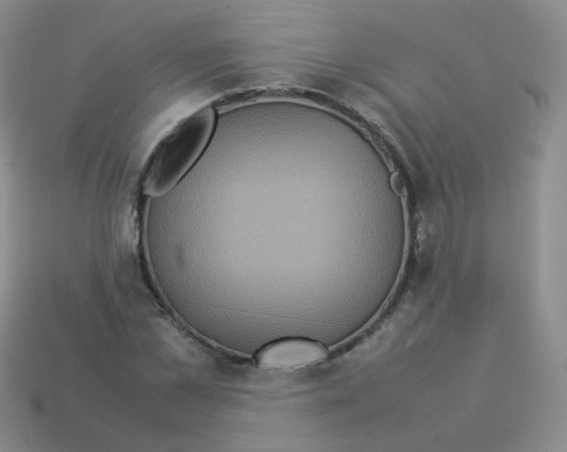 X0000113290973200910131023