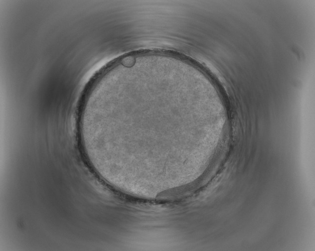 X0000113290975200910131023