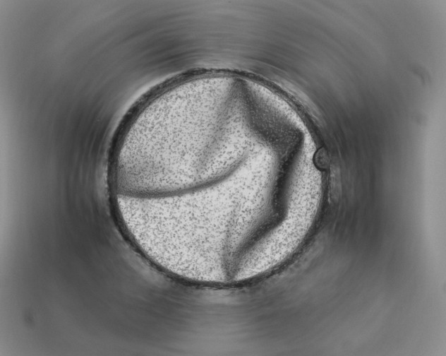 X0000113290976200910131023
