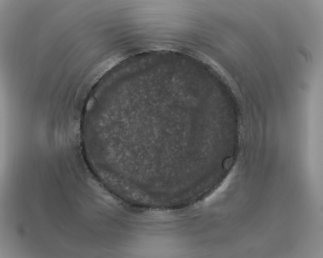 X0000113290977200910131023