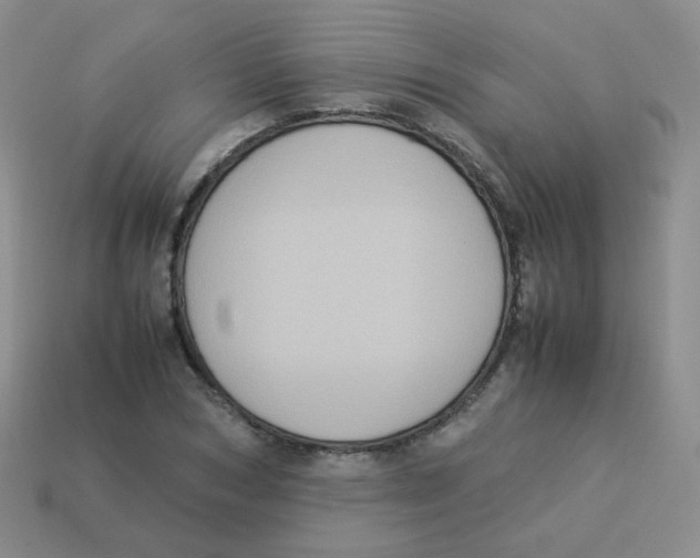 X0000113290978200910131023