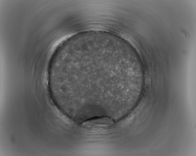 X0000113290979200910131023