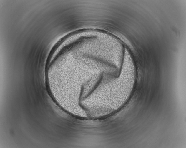 X0000113290980200910131023
