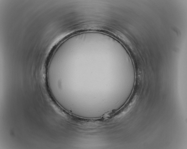 X0000113290981200910131023