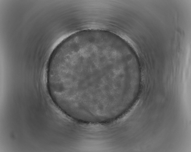 X0000113290983200910131023