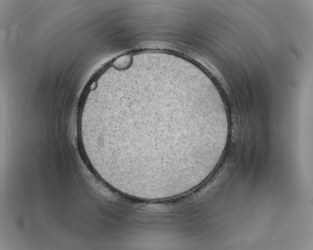 X0000113290984200910131023