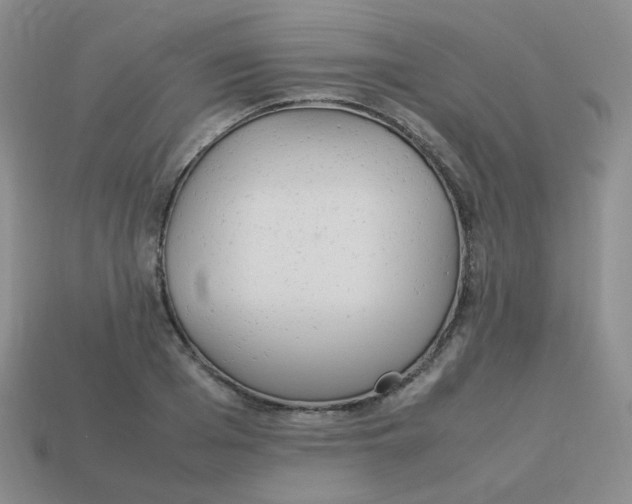X0000113290985200910131023