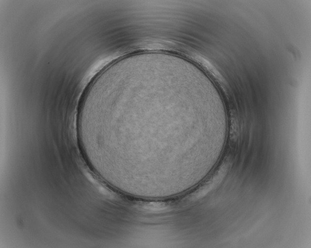 X0000113290986200910131023