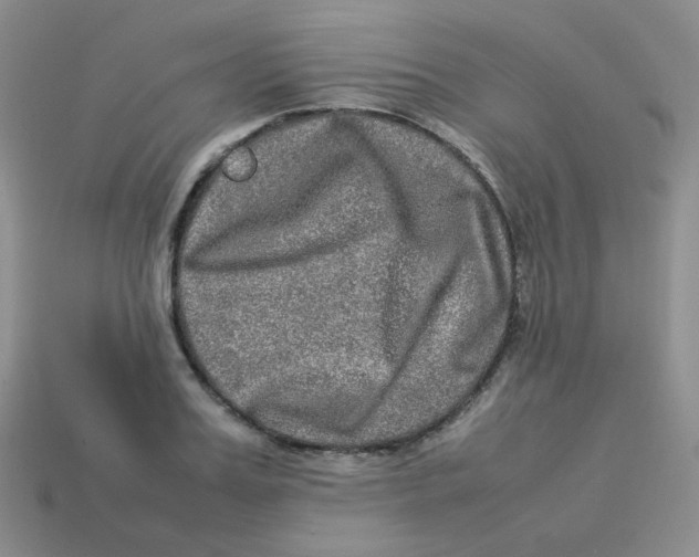 X0000113290987200910131022