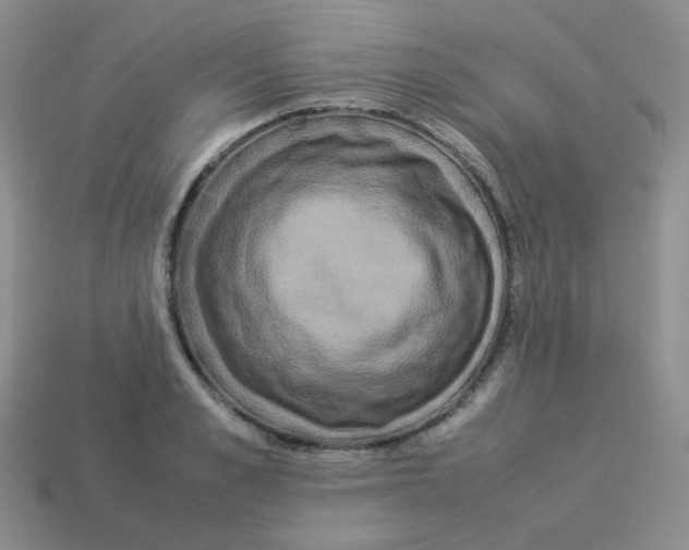 X0000113290989200910131022