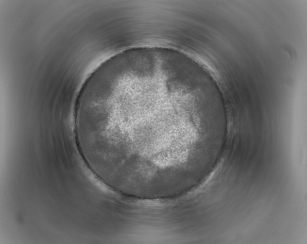 X0000113290990200910131022