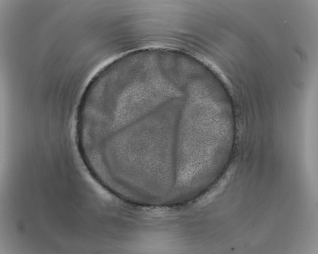 X0000113290991200910131022