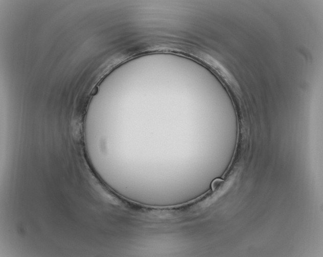 X0000113290993200910131022