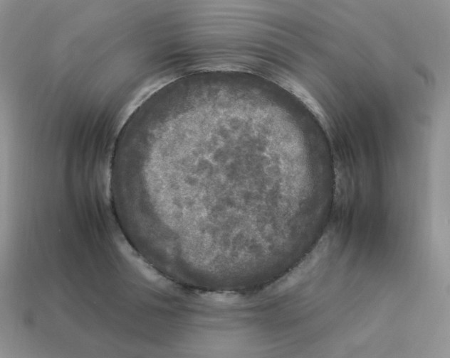 X0000113290994200910131022