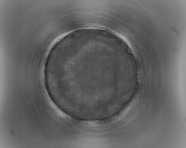 X0000113290995200910131022