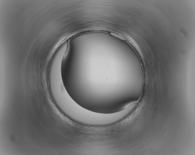 X0000113290997200910131022