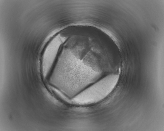 X0000113290998200910131022