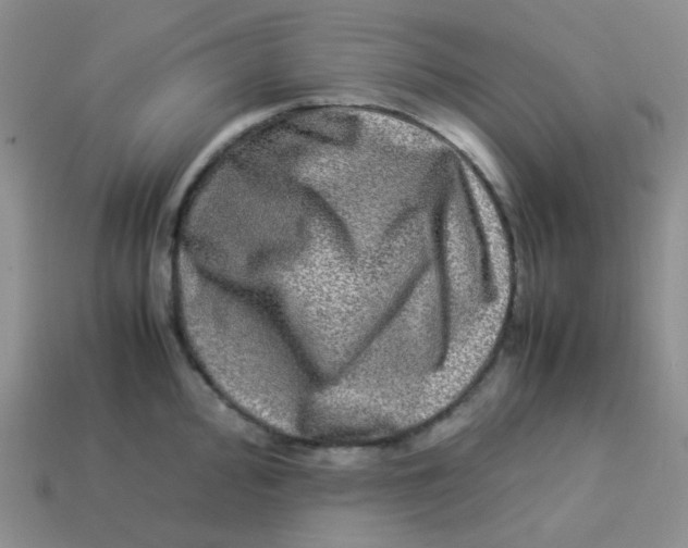 X0000113291000200910131022